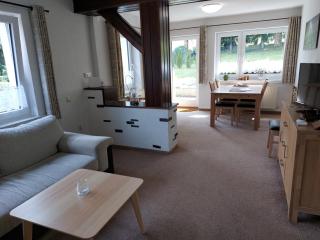 Ferienwohnung In Carlsfeld Mit Garten, Terrasse Und Grill - Eibenstock - 8