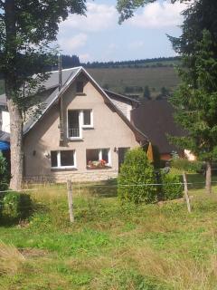 Ferienwohnung In Carlsfeld Mit Garten, Terrasse Und Grill - Eibenstock - 1