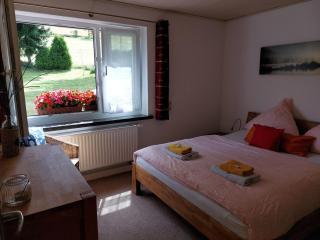 Ferienwohnung In Carlsfeld Mit Garten, Terrasse Und Grill - Eibenstock - 2