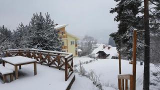 Ferienwohnung Villa Albatros In Oberdellach - Ober-Dellach - 8