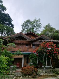 Sultan Guesthouse - Bukit Lawang - 0