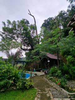 Sultan Guesthouse - Bukit Lawang - 4