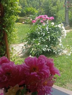 B&B Cascina Ciapilau - Asti - 8