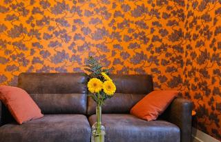 AIX SUNSET Sunset Terrasse centre historique - 3