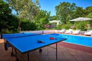 Villa Bastianich Mit Großem Garten Und Pool - Ližnjan - 6