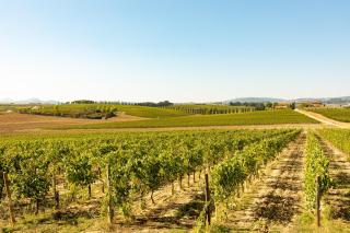 Appartamento Moraiolo - Montepulciano - 9