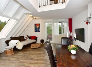Apartment Black Forest Bollenhut Deluxe - Lenzkirch - 0