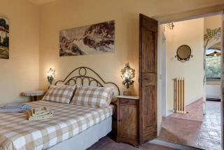 Il Pintello - La Lepre - Massanera - 2