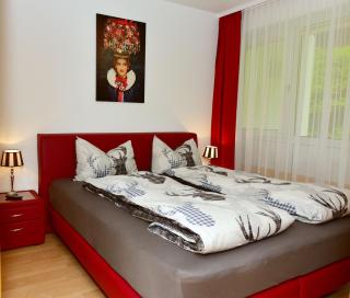 Appartement In Saig Mit Garten Und Grill - Lenzkirch - 0