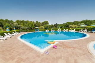 Il Girasole - Ulivo - Venturina Terme - 8