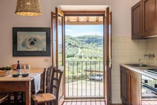 Podere del Pereto Bio- 201 - Rapolano Terme - 2