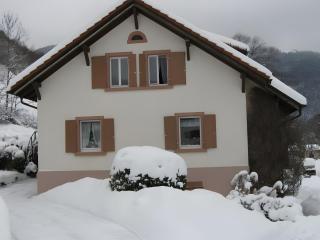 Wohnung Irene - Todtnau - 3