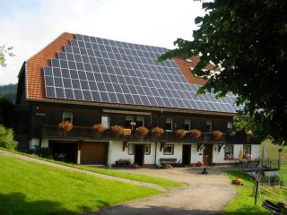 Rutscherhof Breitnau - Breitnau - 0