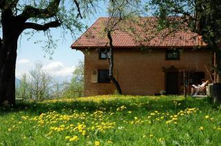 Ferienhaus Dünser In Dünserberg - 8