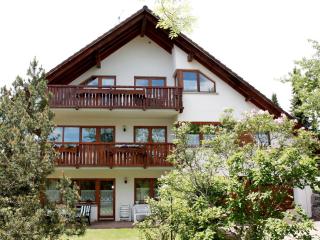 Haus Dörflinger Frau Marianne - Schluchsee - 0