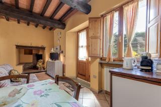 Agriturismo Il Ponte - Frantoio - Vicchio - 3