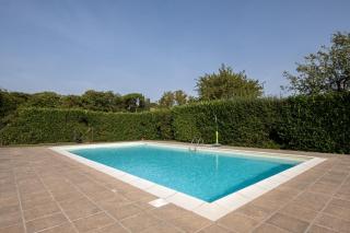 Ginestra - Arcidosso - 2