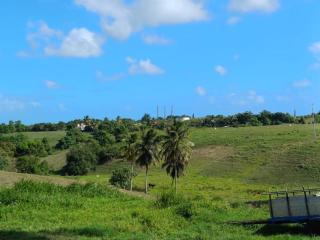 Maison Nature - Sainte-Anne - 3
