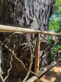 Treehouse Tayrona - Santa Marta - 6