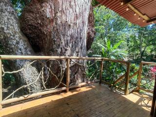 Treehouse Tayrona - Santa Marta - 5