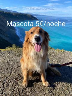 El Desván del Chisco - Cudillero - 8