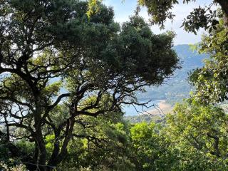 Vacances de rêve à Propriano Grand appartement avec jardin Vue sur le golfe - 9