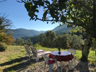 Chambre d'hôte Lavande - Le soleil des Cévennes - 7