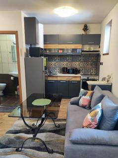 Grand Studio A1 - Pamporovo - 6