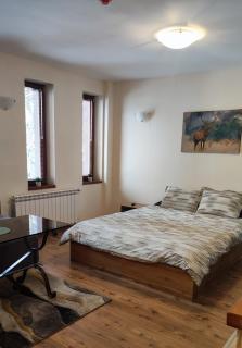 Grand Studio A1 - Pamporovo - 8