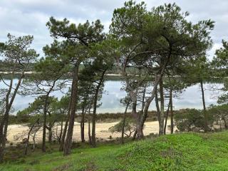 Eco-friendly beach house - Sesimbra - 5