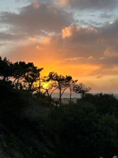 Eco-friendly beach house - Sesimbra - 7