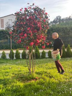 Casa Isabelle - Canneto - 9