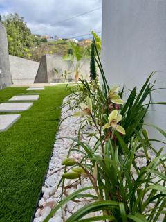 Mary Paradise - Calheta - 4