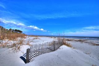 Family Retreat with Backyard Oasis, Private Pool, Spa, Fireplace, Game Room - Hilton Head Island - 5
