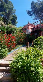villetta dei fichi d'India - Rio nellʼElba - 7