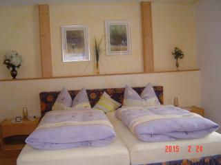 Haus-Johanna-2 - Riedlhütte - 2