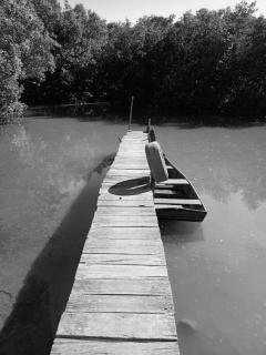 Raizes da Terra - Ponta do Corumbau - 2