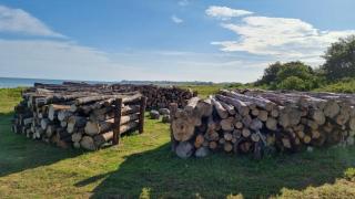 Over Fields, Sea And Forest - Bogense - 9