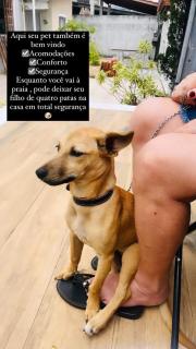 Casa Perto da praia com piscina privativa - São Sebastião - 3