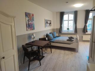 SchaeBu! Apartment 3 Altmarkt in neuem Glanz - Cottbus - 8
