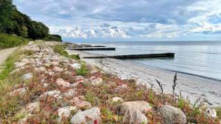 Dream Home On Møn With Sea And Star View - Stege - 8