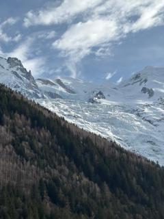 Chamois blanc / Chamonix - Chamonix - 8