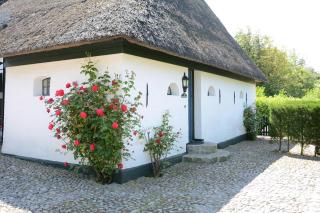 Haus Strandläufer - Midlum - 9