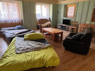 Historische Maisonettewohnung bis 9 Gäste, Magic Pass ab Mai25 - Naters - 6