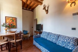 Appartamento Fattoria - Laterina - 6