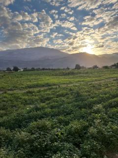Guest house in Ghawr alsafi - Aş Şāfī - 1