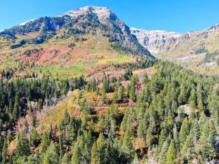 Luxury 4br Mountain Retreat Near Sundance Resort - Sundance - 7