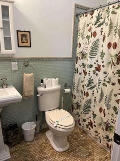 3BR Pet Friendly Cottage Mathias WV - Mathias - 3
