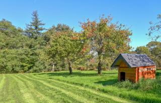 Cozy Home In La Pernelle With Wifi - 5