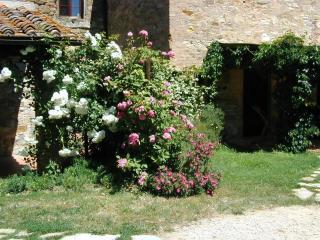 Urlaub Flach Weiß - San Donato in Poggio - 8